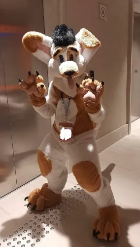 Fantasia Fursuit Cachorro Tubarão Completa + 2 Rabos