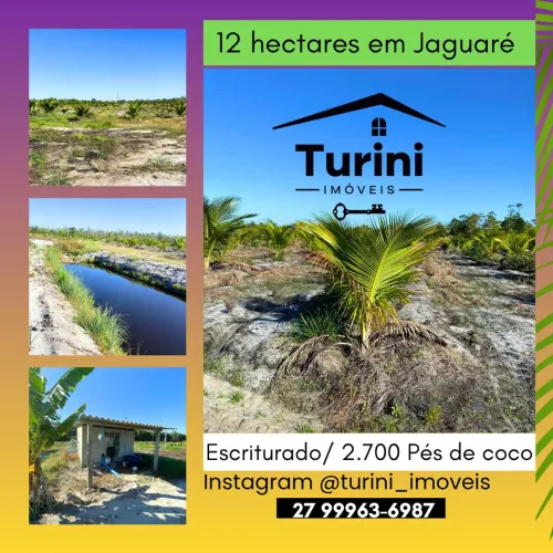 12 hectares em Jaguaré es 