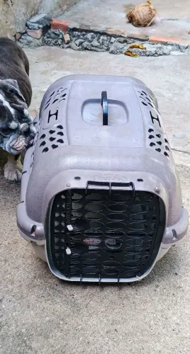 Caixa de transporte para Pets.