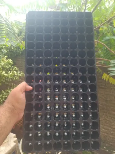 Sementeira/bandeja de plantio 