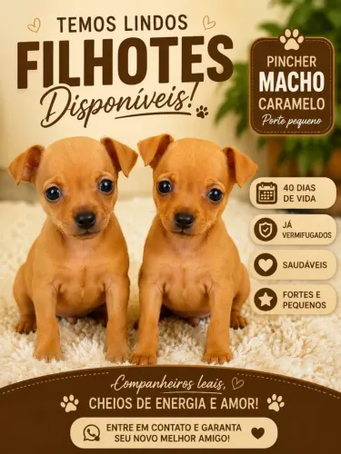 PINSCHER 