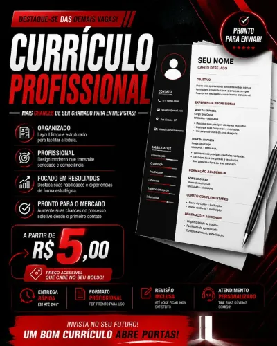 Arrumo seu currículo, e deixo ele bem organizada, bem profissional 