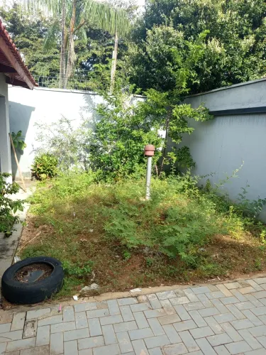 Limpeza de Quintal e frente de casa e comércio