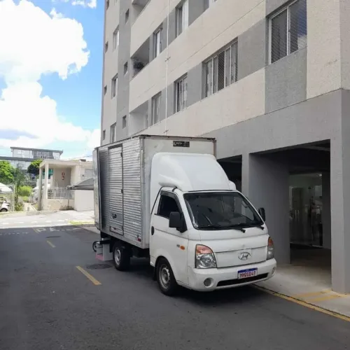 ? FRETES E MUDANÇAS ?