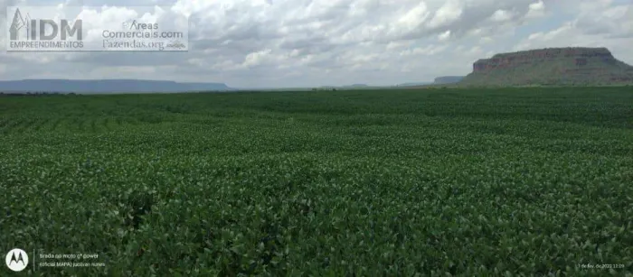 Fazenda Soja de 5800 ha em Balsas - MA