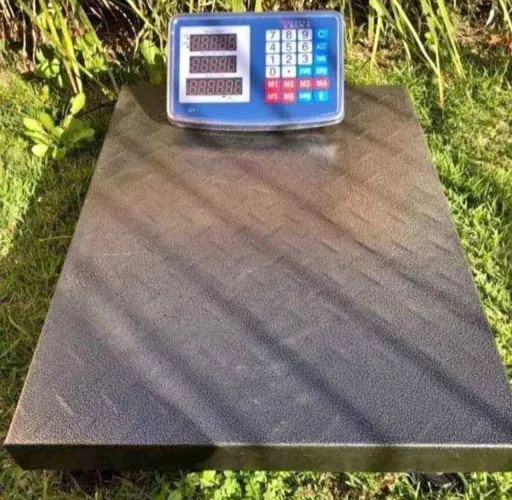 Balança digital 200kg sem mastro
