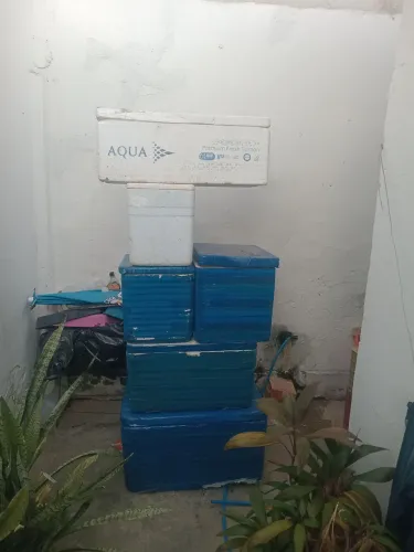 Caixa térmica isopor diversos