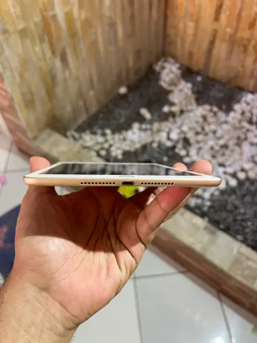 iPad mini 5
