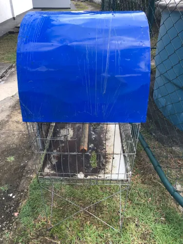 Gaiola grande para papagaio, piriquito, colopcita 