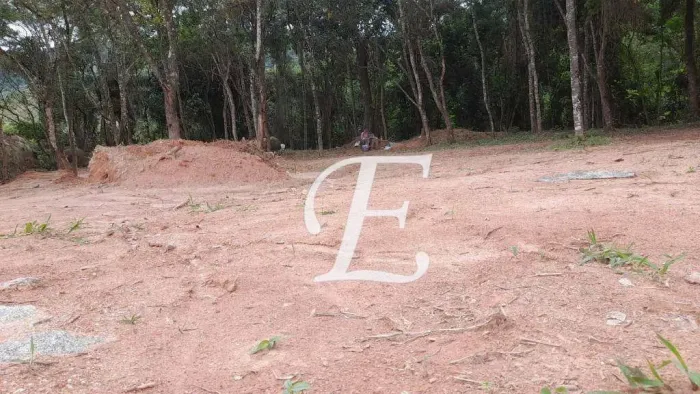 Terreno à venda, 421 m² por R$ 405.000,00 - Jardim Peri - São Paulo/SP