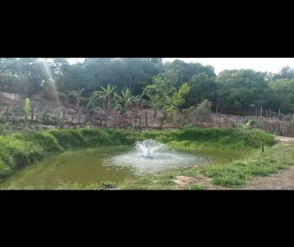 Rural ChácaraFazenda em Bofete