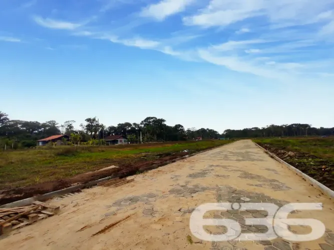 Terreno | São Francisco do Sul | Ervino