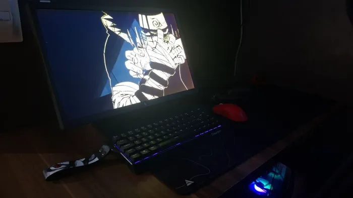Monitor
