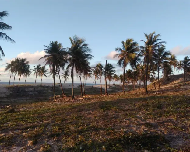 AREA COMERCIAL em JANDAÍRA - BA, JANDAÍRA