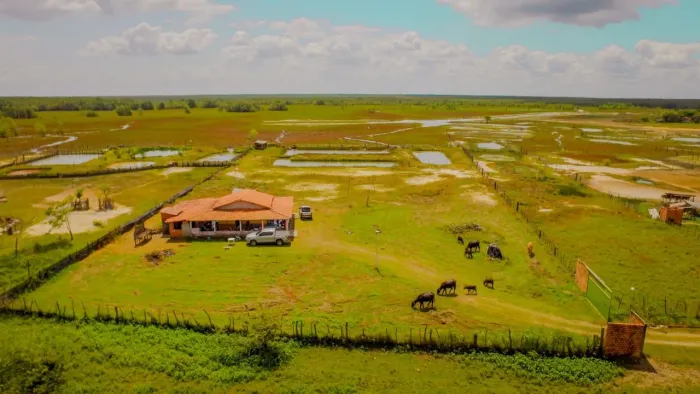 ? SÍTIO/CHÁCARA À VENDA EM BACABEIRA - MA