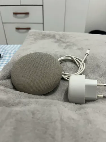 Google home nest Mini 