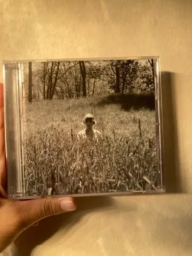 cd taylor swift folklore in the weeds 