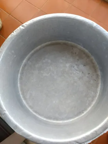 Vasilha pra colocar comida ou água pets e corrente na embalagem