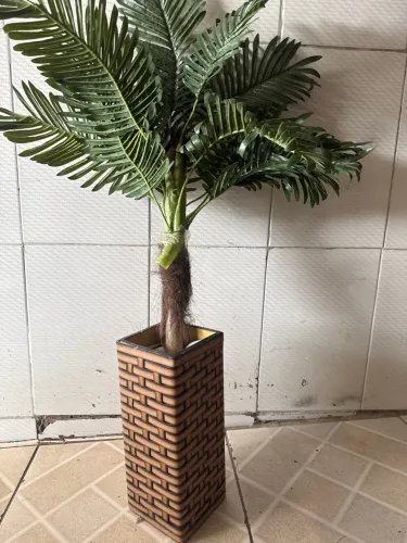 Planta decorativa