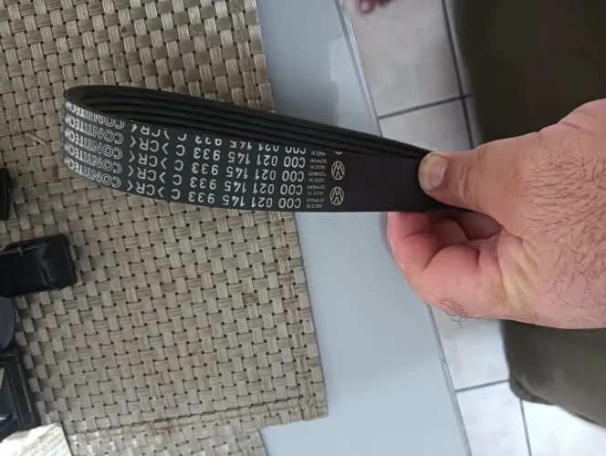 Correia Poly ar DH bomba água golf Jetta Passat CORRADO VR6 novo orig vw