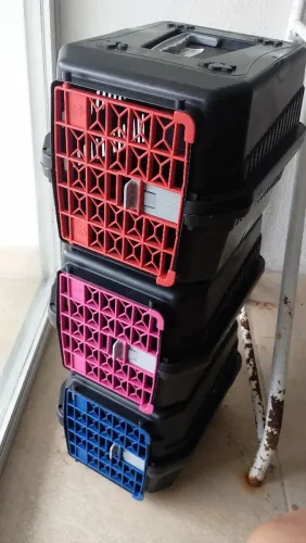 Caixas de transporte 