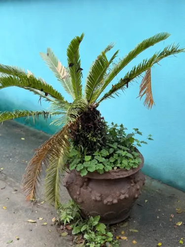 Vaso de planta de concreto