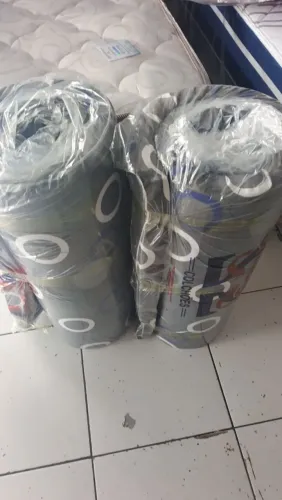 Cochonte de solteiro