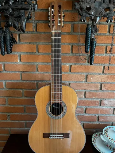 Violão Rozini Virtuoso 7 cordas