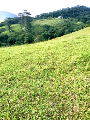 Terreno em São Francisco Xavier
