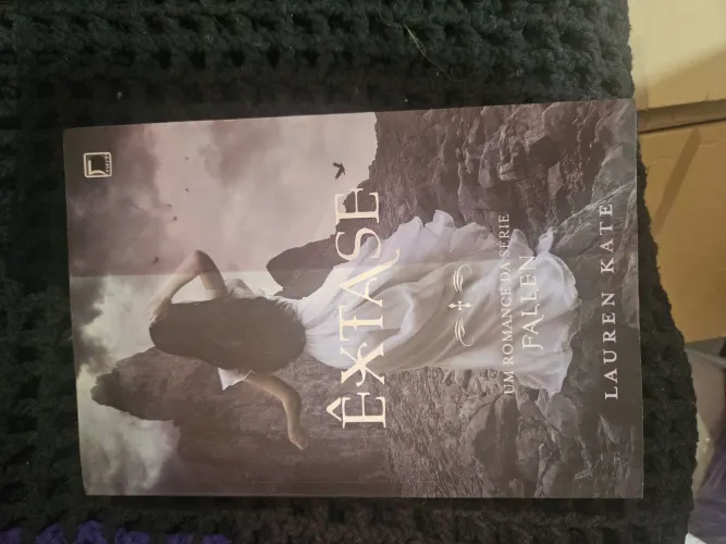 Livro Êxtase - Usado