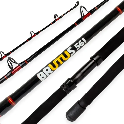 Conjunto albatroz pesca pesada