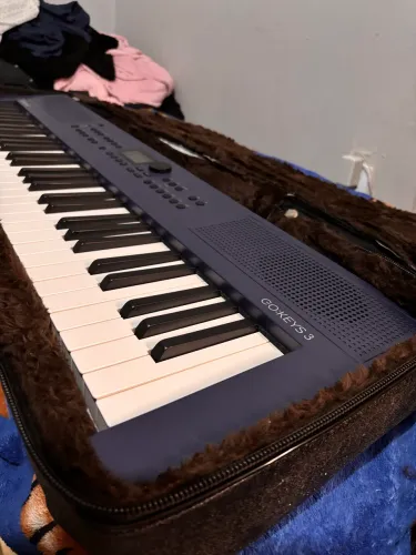 Sintetizador Roland Go Keys 3 + Bag + Estante