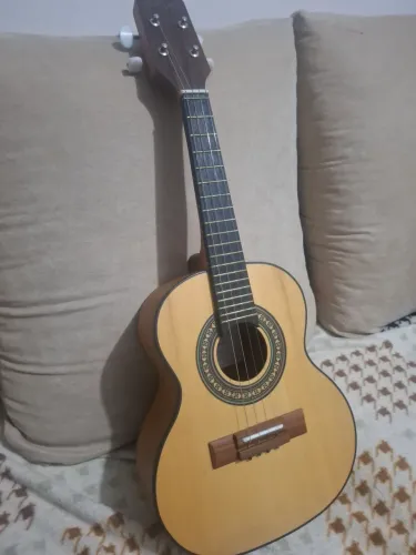 Rozini Rc10 