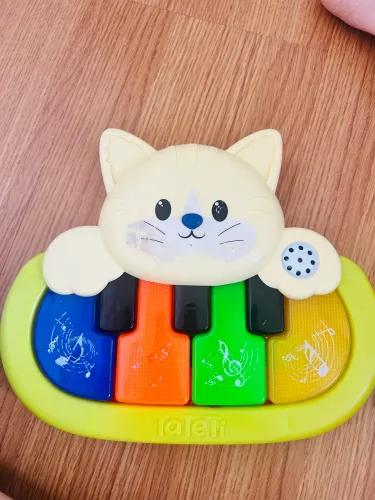 Piano Infantil Musical Gato Som Luzes Calesita Music Pet