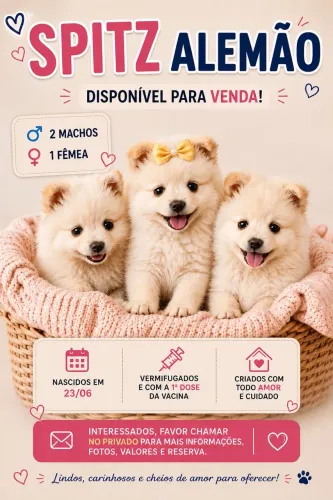 Venda de filhotes