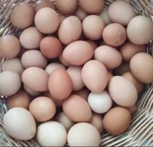 OVOS CAIPIRA