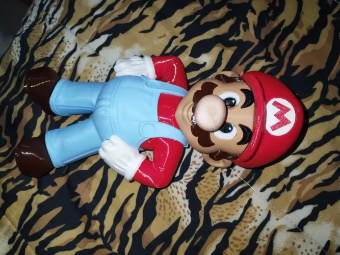 Mario brother 28cm 3D