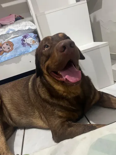Procurando uma namorada ?