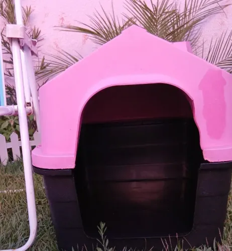 Casa pra cachorro 
