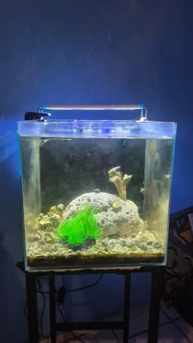 aquário nano marinho com sump 30L