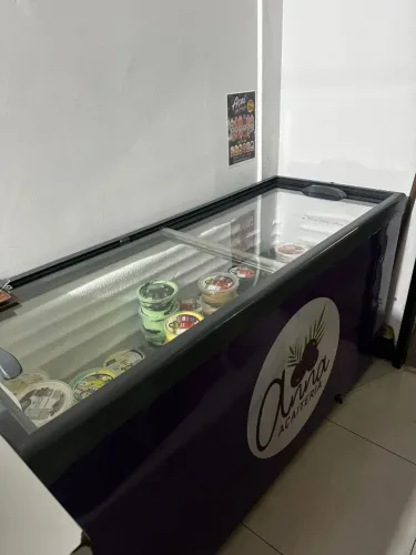 Freezer vertical