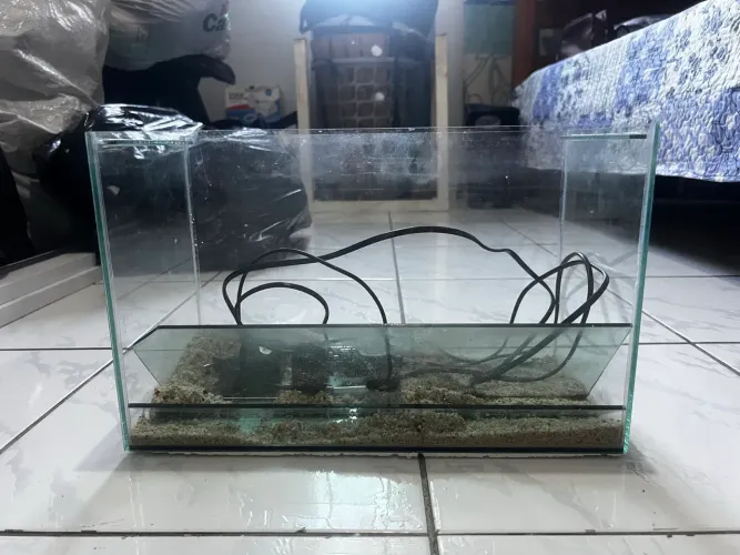 Aquário