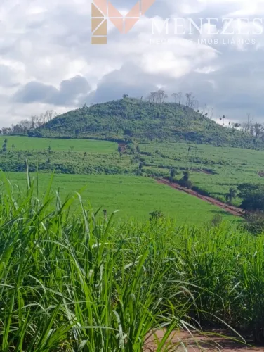 Fazenda à venda em Cajuru/SP