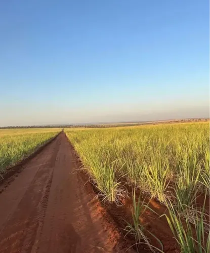 Fazenda à venda 100 alqueires Cachoeira Alta-GO