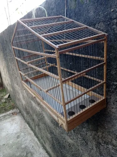 Gaiola para criar canário do reino