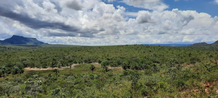 Posse 1.290 hectares e São Félix-TO