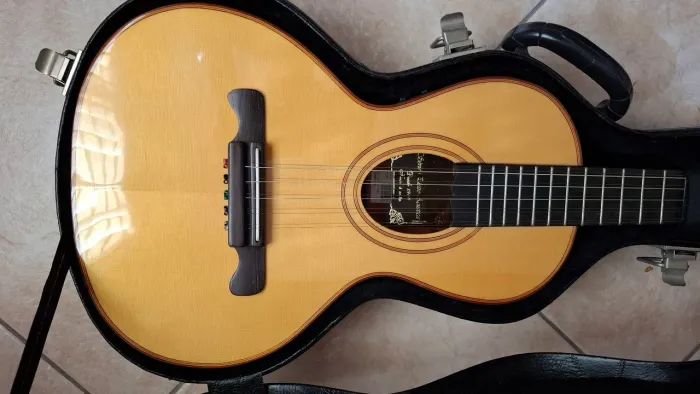 Viola Giannini Profissional GVSC4 EL - 100% maciça 