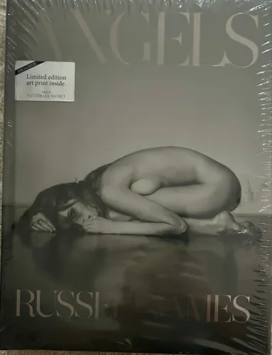 livro angels de russel james
