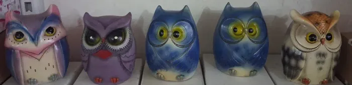 Miniatura de Corujas cada