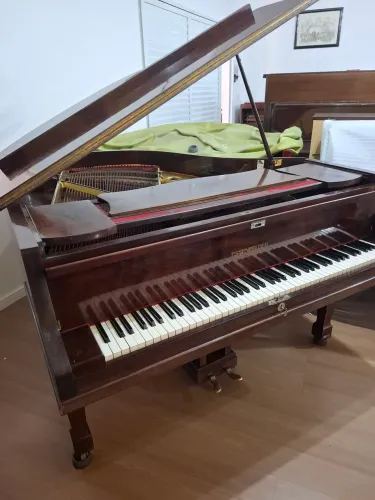 Piano Essenfelder 1/4 de Cauda raridade 